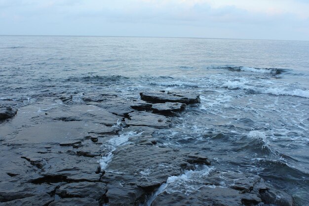 Scenic view of shore and sea against sky