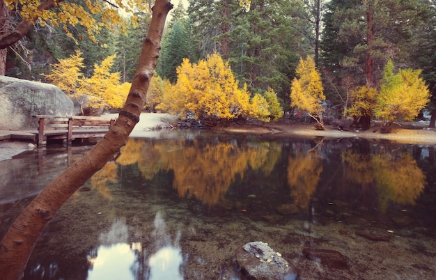 シエラネバダ山脈の美しい景色。紅葉の風景。米国カリフォルニア州。