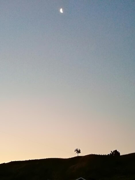 Scenic view of silhouette field against clear sky during sunset