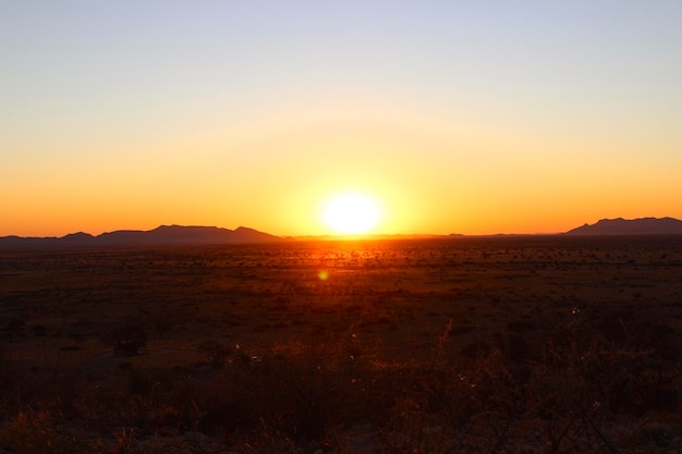 夕暮れの晴れた空に照らされたシルエットフィールドの風景