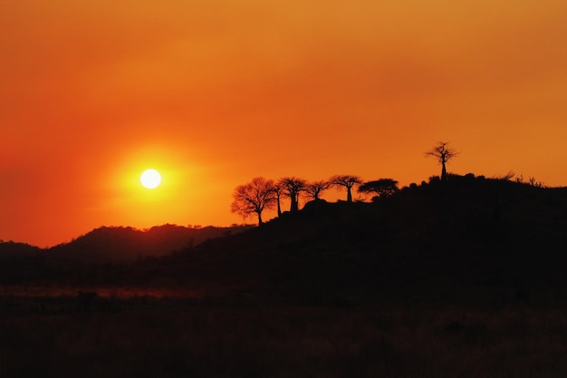 Scenic view of silhouette landscape against orange sky