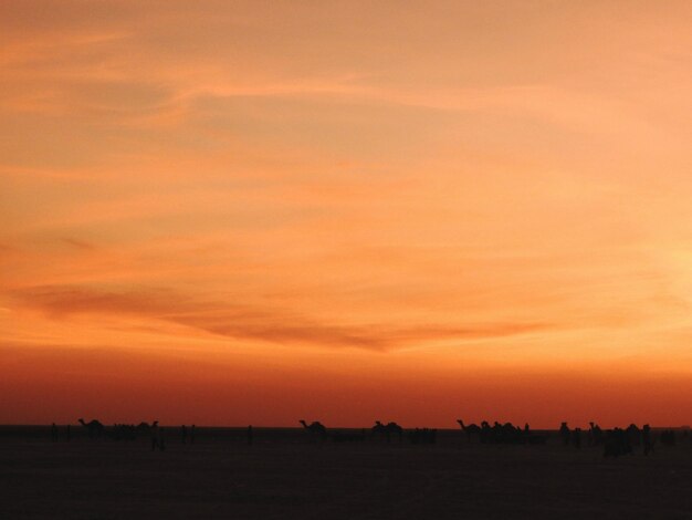 Scenic view of silhouette landscape against orange sky