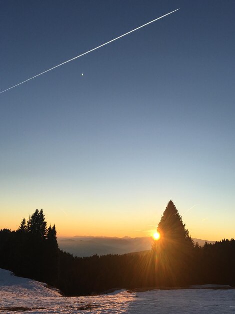 Scenic view of silhouette trees against clear sky during sunset