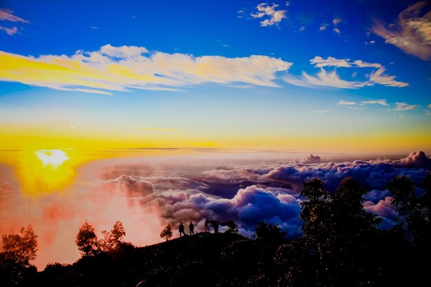 Scenic view of silhouette trees against sky during sunset