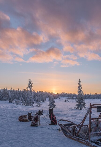 Vista panoramica della neve contro il cielo durante il tramonto