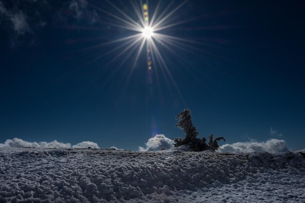 Scenic view of snow covered field against blue sky