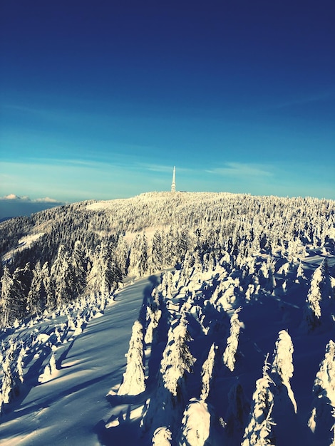 Scenic view of snow covered field against blue sky