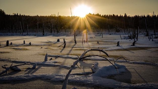 夕暮れの空を背景に雪で覆われた畑の風景