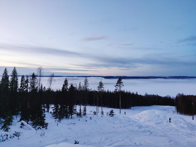 Scenic view of snow covered field against sky