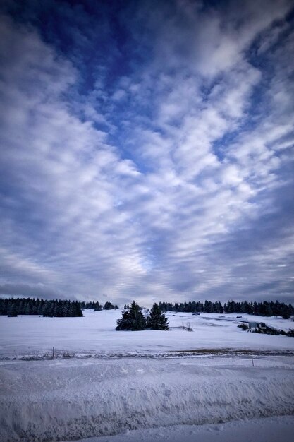 空を背景に雪に覆われた畑の景色