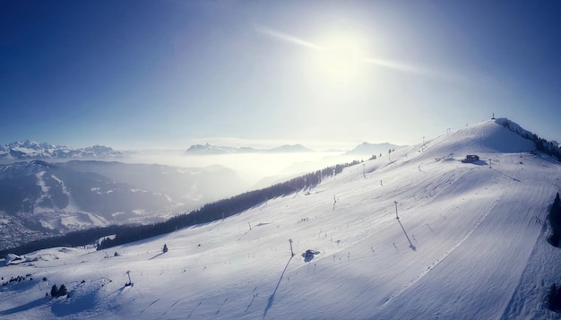 空を背景に雪に覆われた畑の景色