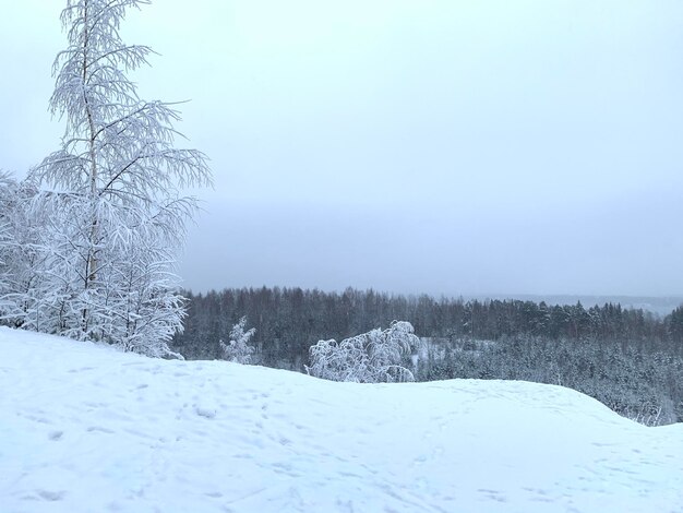 Scenic view of snow covered field against sky