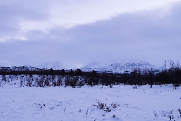 scenic view of snow covered field against sky
