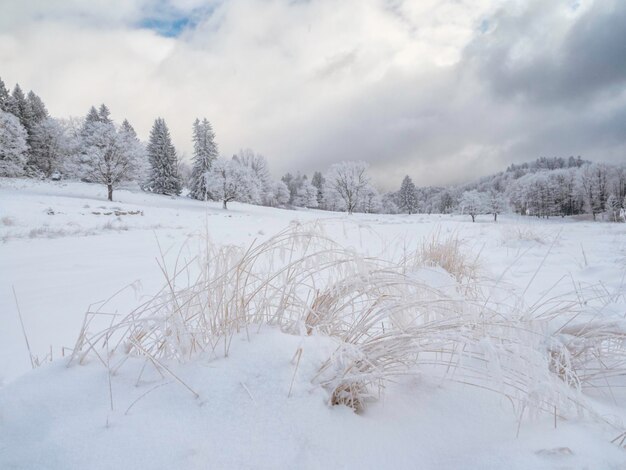 Photo scenic view of snow covered field against sky