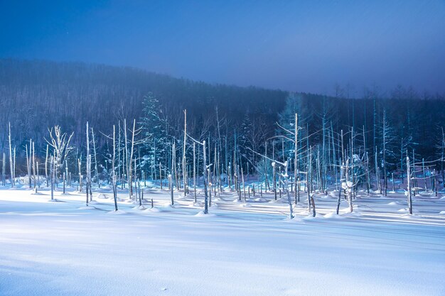 空に照らして雪で覆われた畑の景色