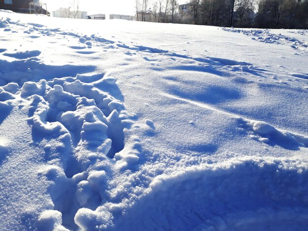 Scenic view of snow covered field