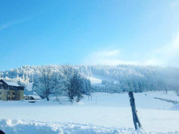 Scenic view of snow covered field