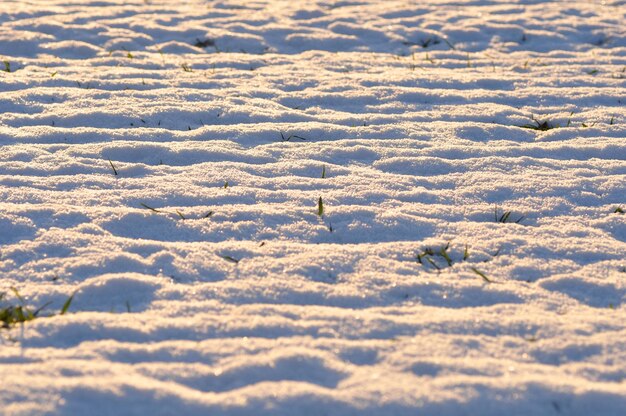 Scenic view of snow covered field