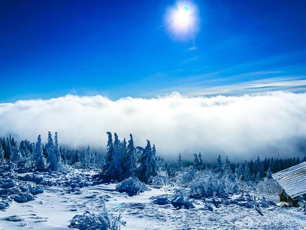 Scenic view of snow covered land against blue sky