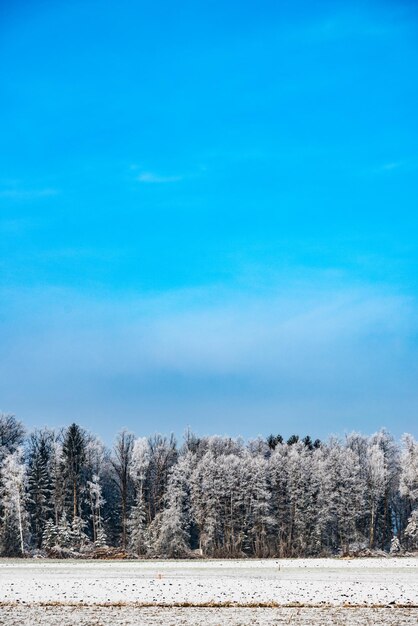 Scenic view of snow covered land against blue sky