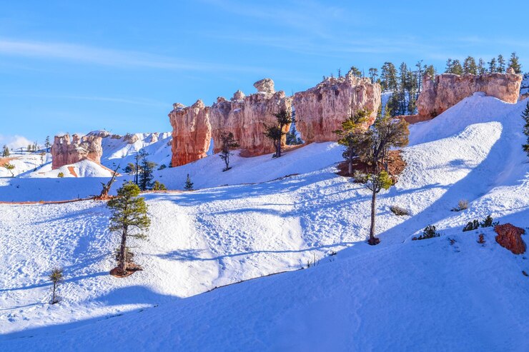 Photo 青い空を背景に雪に覆われた土地の風景