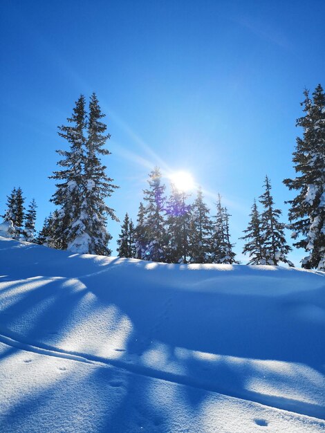 Scenic view of snow covered land against clear blue sky