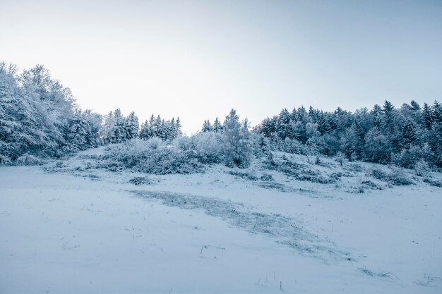 Scenic view of snow covered land against clear sky