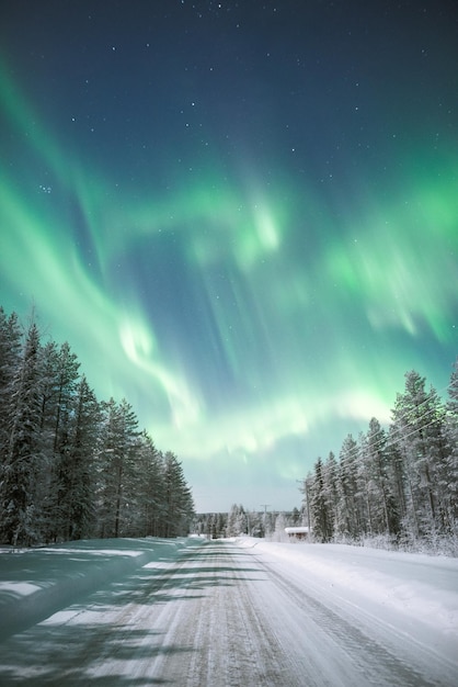 Photo scenic view of snow covered land against sky during aurora borealis