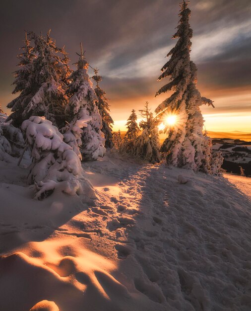 Scenic view of snow covered land against sky during sunset