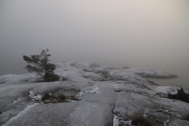 Foto vista panoramica della terra coperta di neve contro il cielo