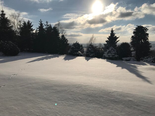 Scenic view of snow covered land against sky