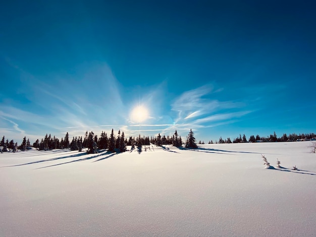 Scenic view of snow covered land against sky