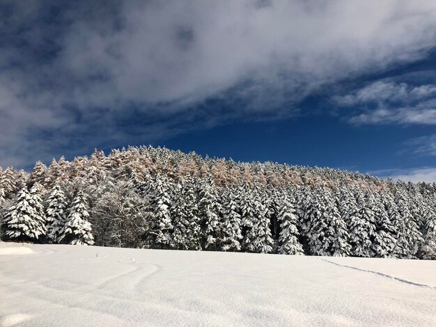 Scenic view of snow covered land against sky