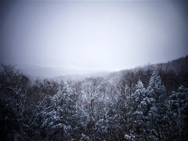 Photo scenic view of snow covered land against sky