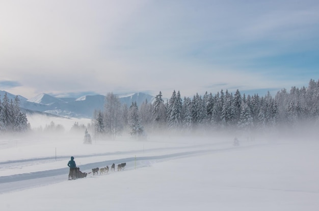 scenic view of snow covered land against sky