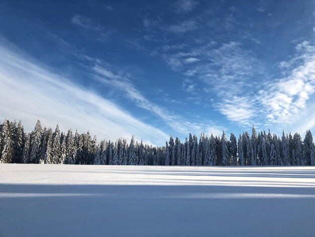 空を背景に雪に覆われた土地の風景