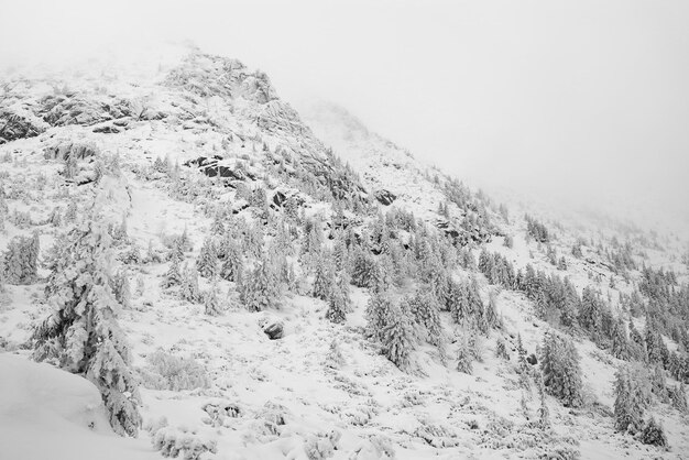 Photo scenic view of snow covered land