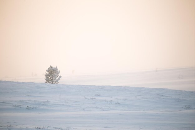 Photo scenic view of snow covered landscape against clear sky