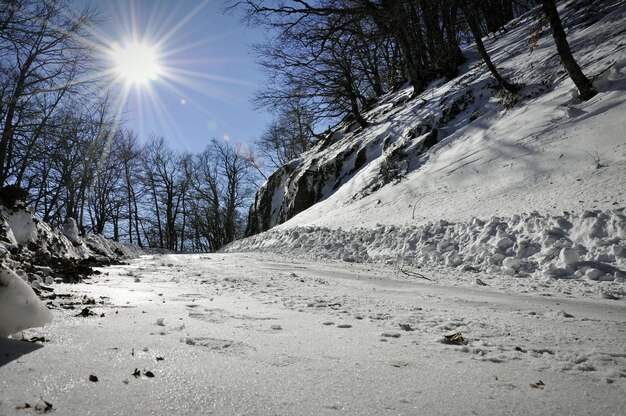 雪で覆われた景色の景色