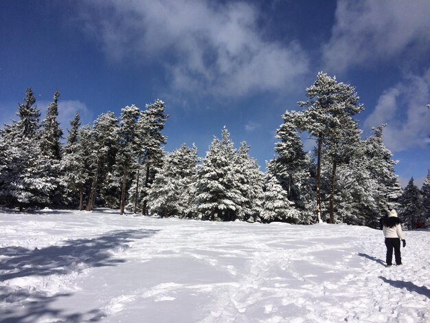 Photo scenic view of snow covered landscape