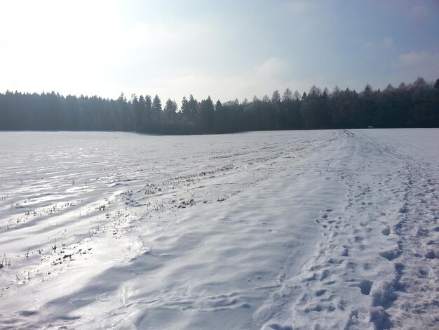 雪で覆われた景色の景色