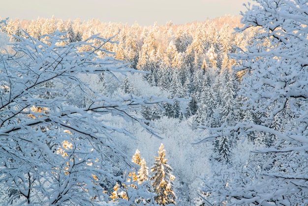 Scenic view of snow covered landscape