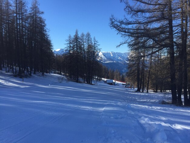 Scenic view of snow covered landscape