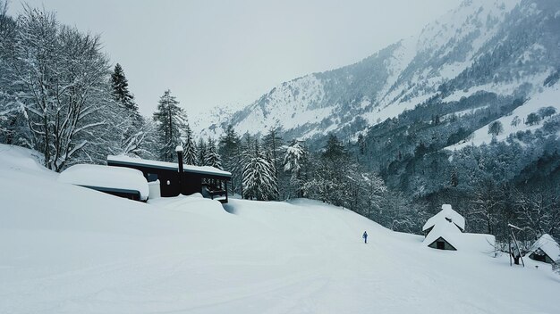 Foto scena panoramica di montagne e alberi coperti di neve contro un cielo limpido