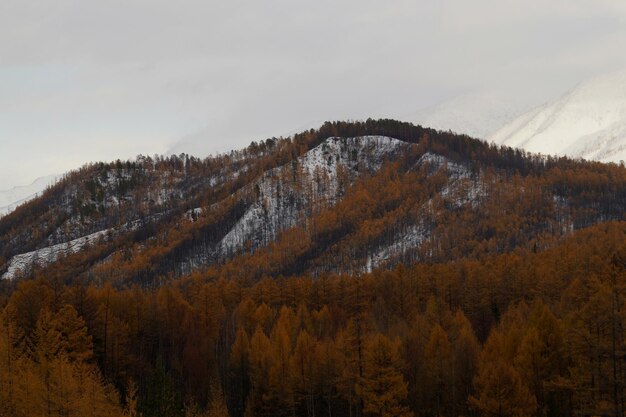 Scenic view of snow covered mountains