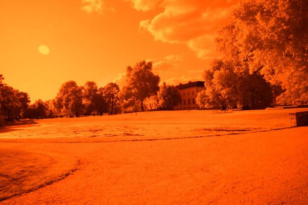 Scenic view of snow field against sky during sunset