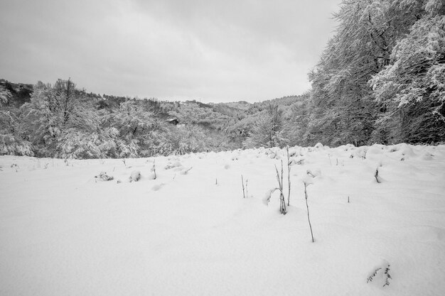 Photo scenic view of snow field against sky