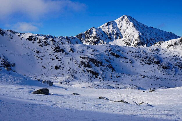 Scenic view of snow mountains against sky