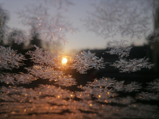 Photo scenic view of snow