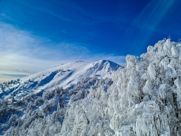 Scenic view of snowcapped mountains against blue sky